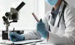 Рост и сфера сложившаяся структура организации
